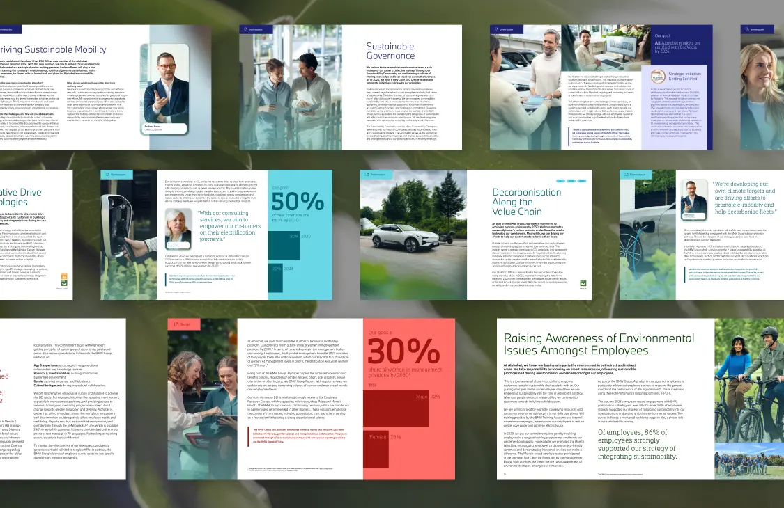 Chart visualisation for ESG report